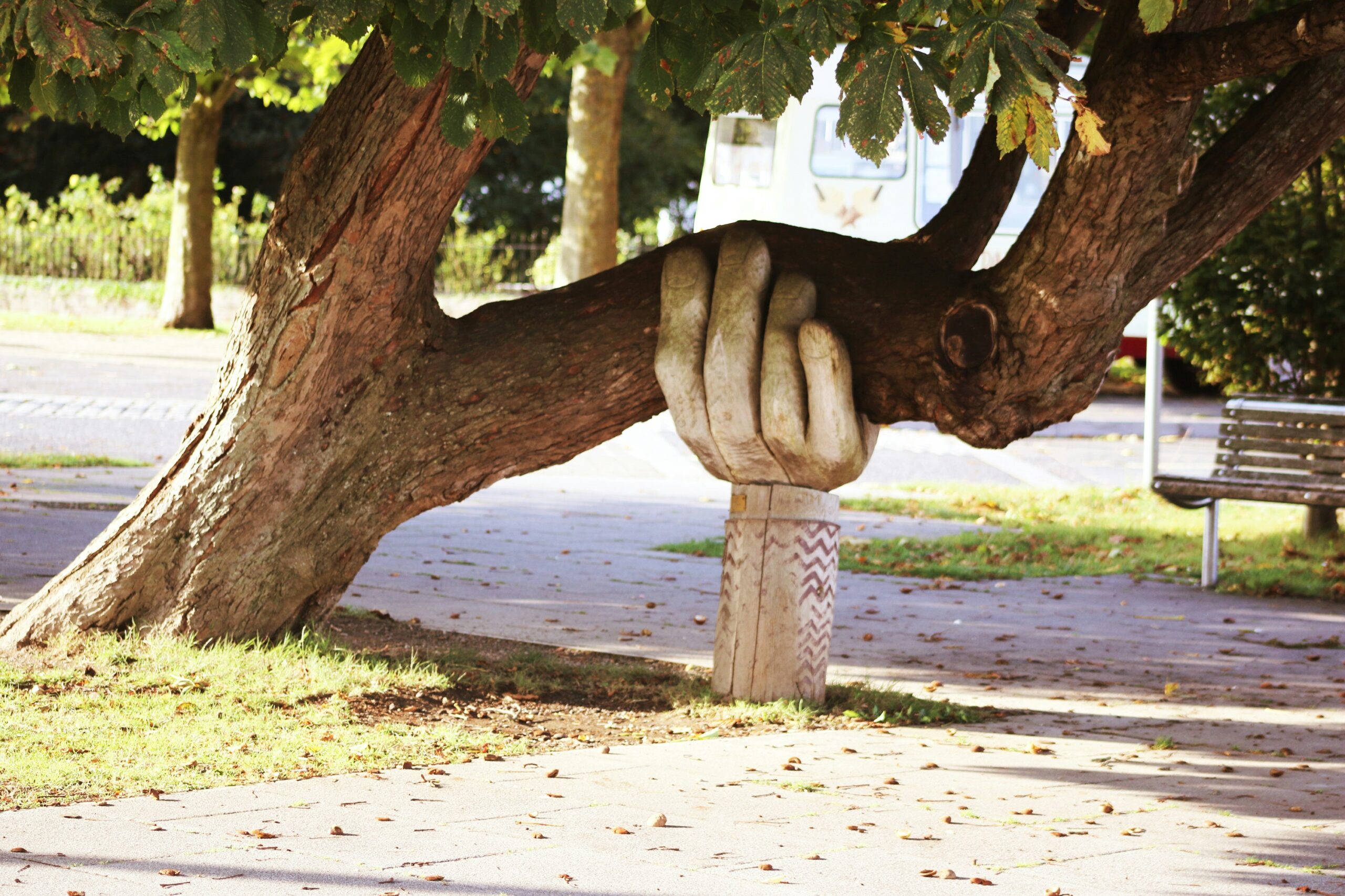 다자녀 장학금, 다자녀 가정을 위한 국가장학금 제도 안내, brown tree