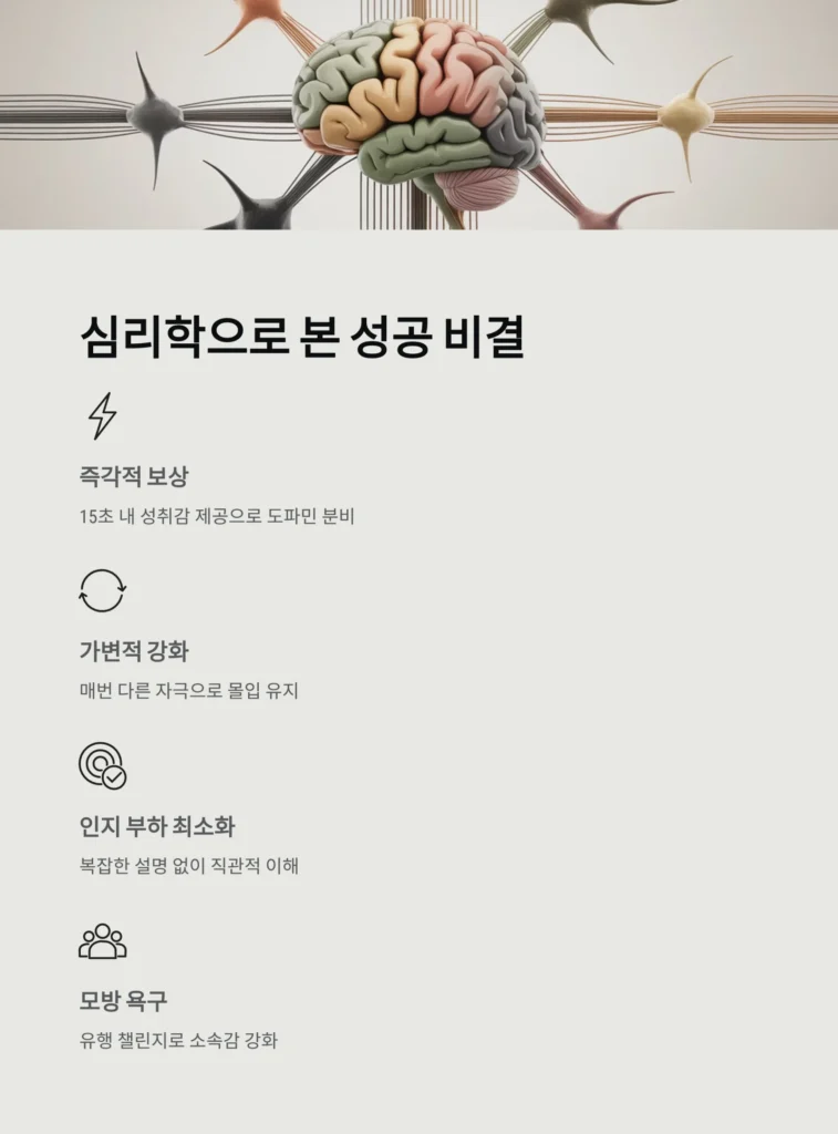 TikTok: 숏폼 영상의 새로운 패러다임