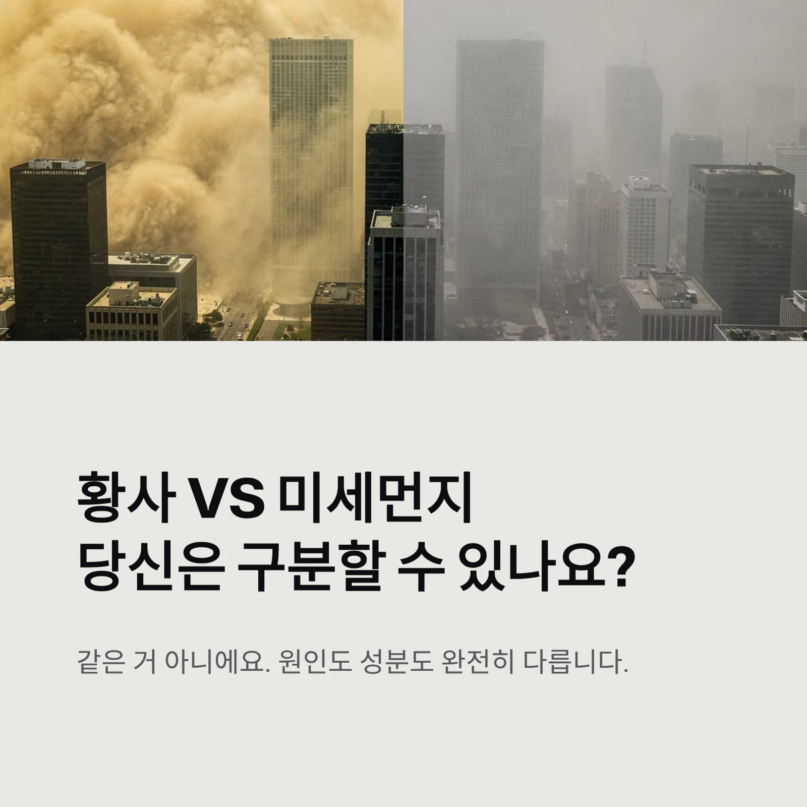 황사 vs 미세먼지당신은 구분할 수 있나요?