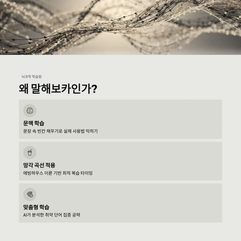 왜 말해보카인가?