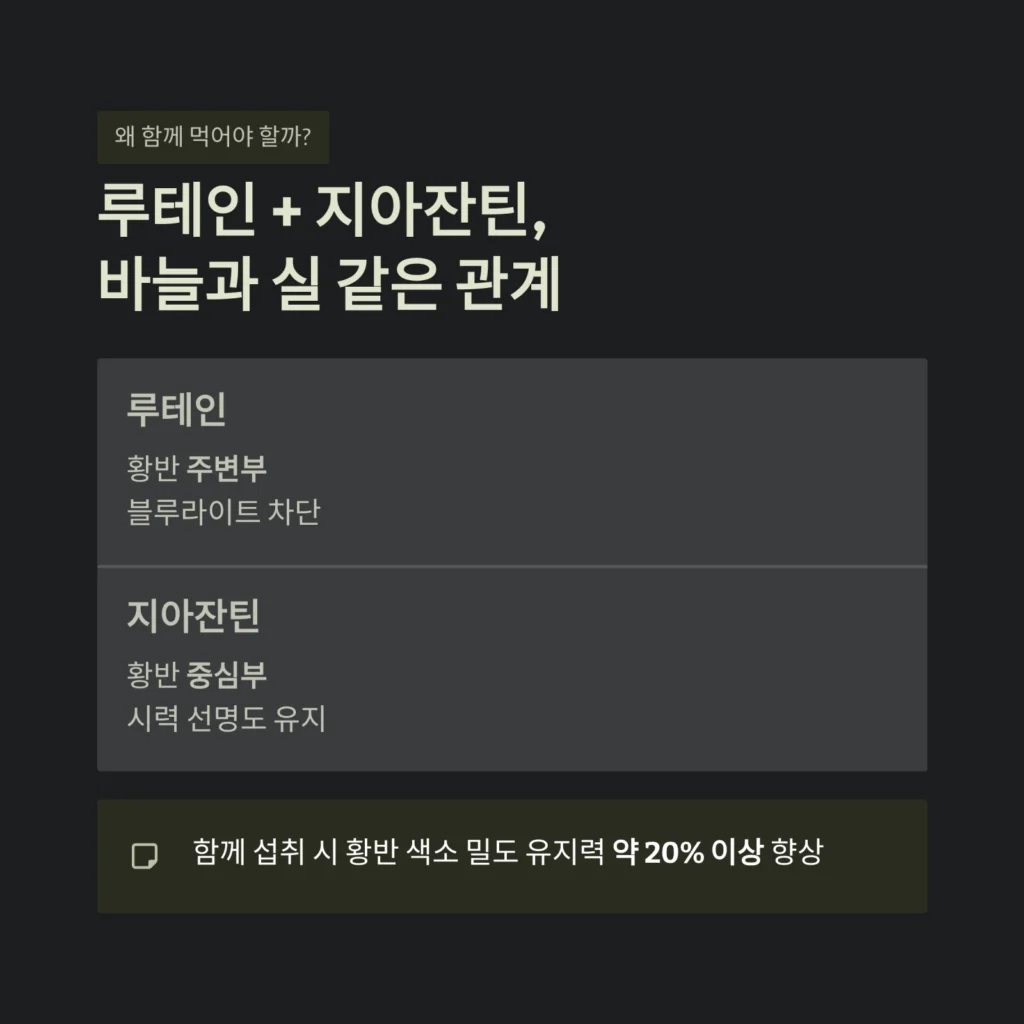 루테인 + 지아잔틴,바늘과 실 같은 관계