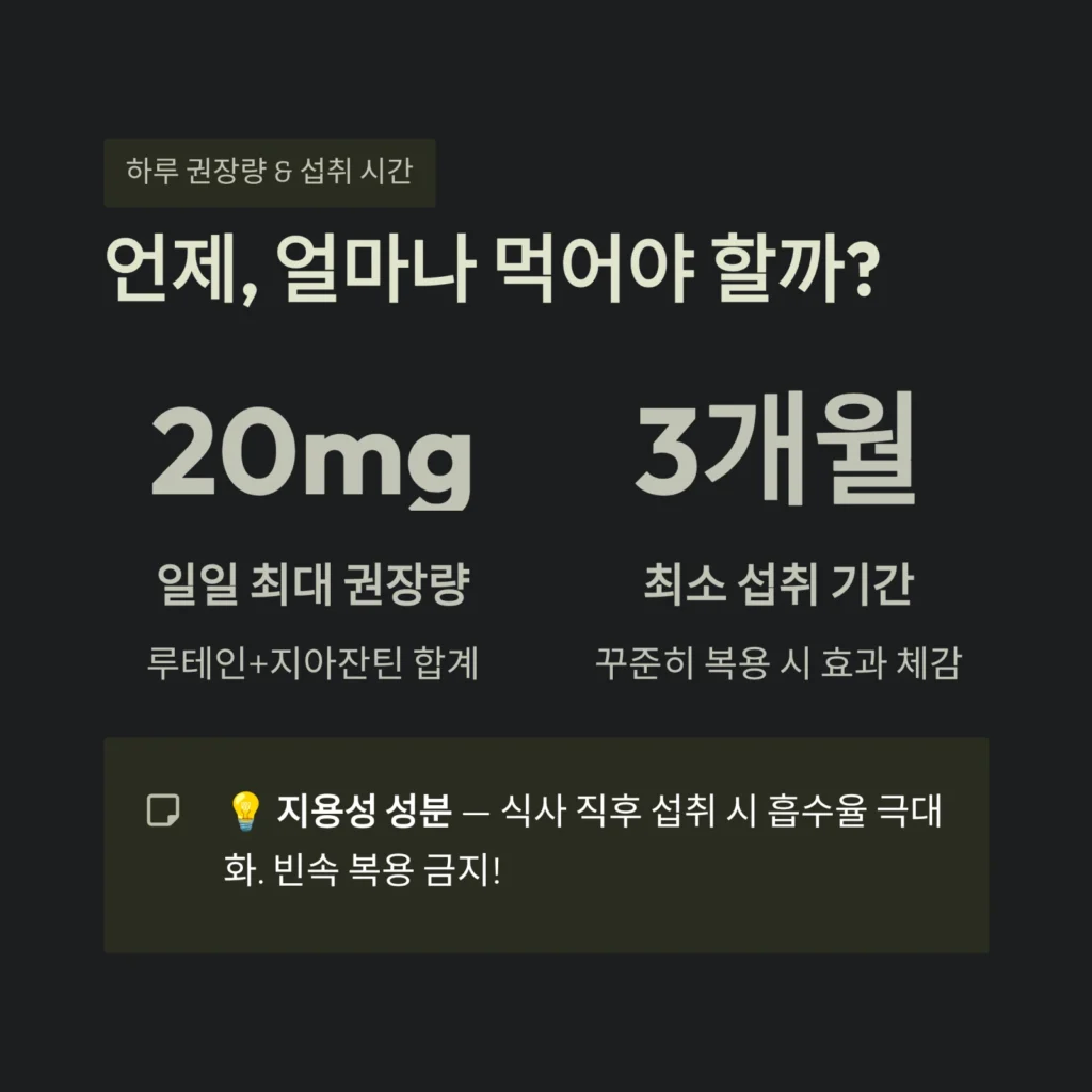 언제, 얼마나 먹어야 할까?