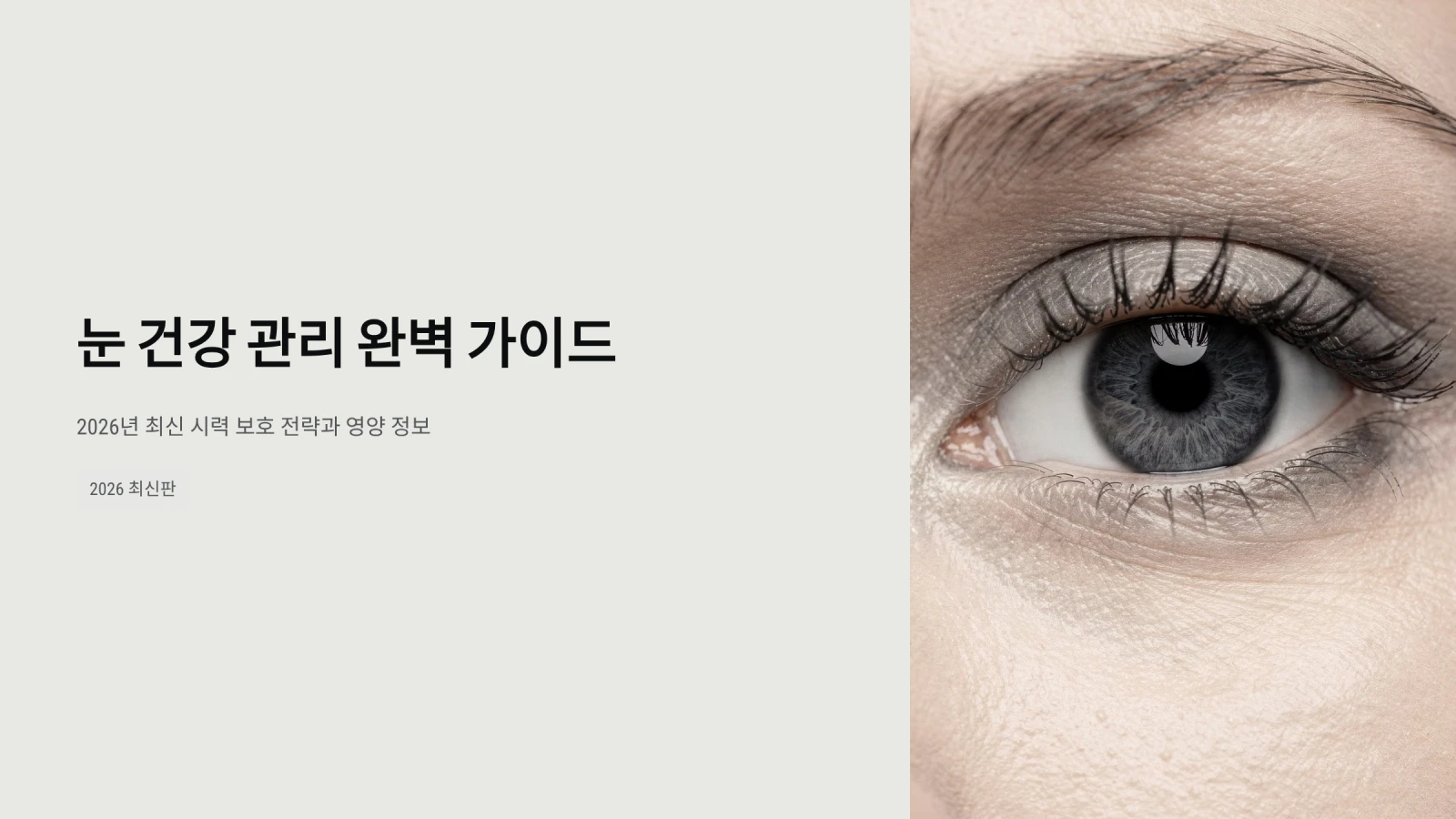 눈 건강 관리 완벽 가이드